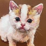 Вот так жизнь у котека…