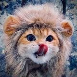 memeow