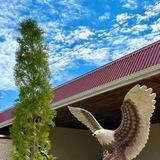 База отдыха «Оазис🌴» Черкесск