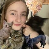 ☀️ssssunbby или санбейби☀️