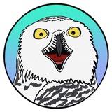 Биполярная сова 🦉 | Про зверят 🐾