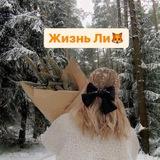 Жизнь Ли 🦊
