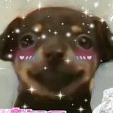 ину значит псина