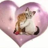 Орен подслушка кд и косплееров
