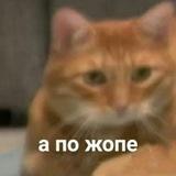 кекальная🐀