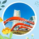 КРАСНОГОРСК.НОВОСТИ