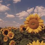 Волшебство Акварели! 🌼✨🍁