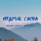 Мудрые слова