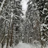 Походы ПВД Подмосковье