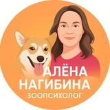 Зоопсихолог, кинолог | Алёна Нагибина