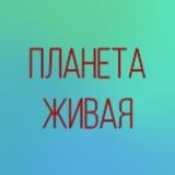 ПЛАНЕТА ЛЮБОВЬ