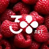 Перекрёсток