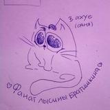 Фанат лысины братишкина