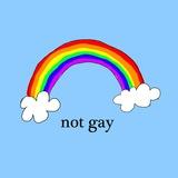 NOT GAY