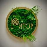 АНО «РИТОР»