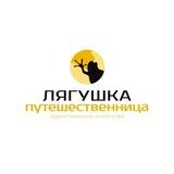 Лягушка путешественница🐸