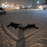 Хижина Молодняка