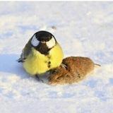 ЧубУкОвА