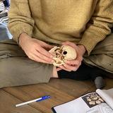 ARTEMMARKOV.COM