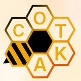 Школа Актива «СОТКА»