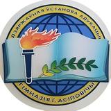 Гимназия г. Осиповичи