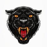 PLANETA TIGROV 🐅