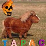постсаркастичные мемы