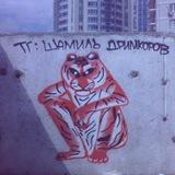 Шамиль Дримкоров