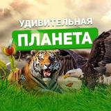 УДИВИТЕЛЬНАЯ Планета