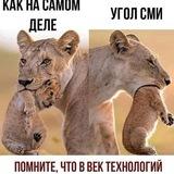 Нерусский РУССКИЙ