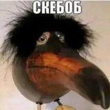 | Разговоры с Miss | 🤪 ура отдых