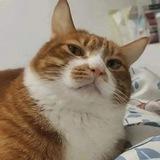 Kit
