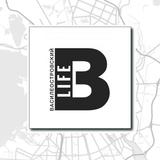 Василеостровский LIFE