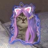 кошка Лана