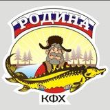 КФХ «РОДИНА»