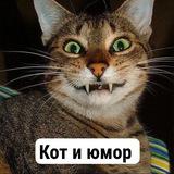 Кот и юмор 🐱