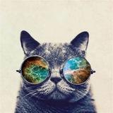 Котейка Крутейка