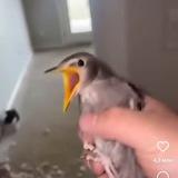 Приколы для своих))