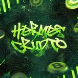 Hermes Ledger
