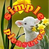 Simple Pleasures