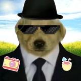 Важный228😎❤️