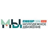 МЫ! - Молодежное движение СХП