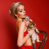 Вещания кошки🐾🐆