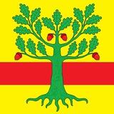 Ломоносовский район