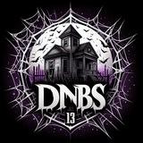 DNBS13