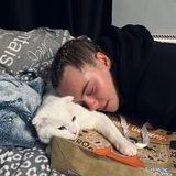 Когтеточка 🐈💅