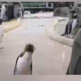 Погребок
