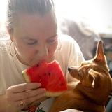 Аᴩбуɜницы Оᴧᴧи и Мᴏᴧᴧи🍉