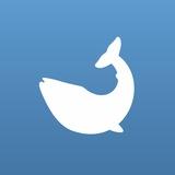 Whale Alert | StrategieX