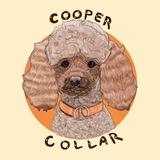 COOPER COLLAR|Амуниция для собак